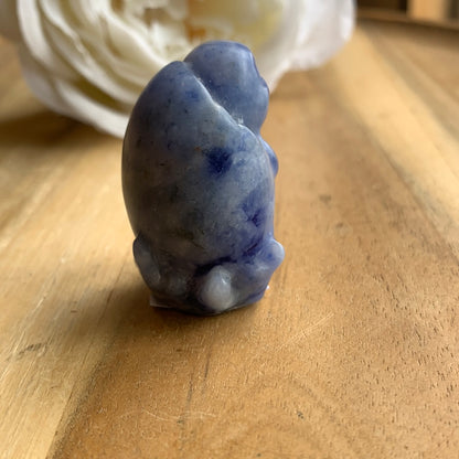 SODALITE TURTLE