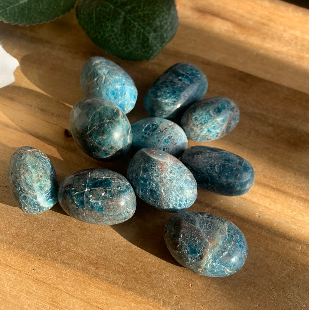 BLUE APATITE PALMSTONES (SMALL)