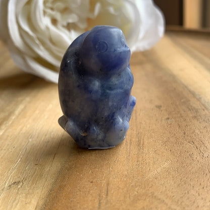 SODALITE TURTLE