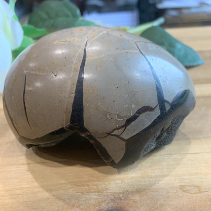 SEPTARIAN EGG WITH EGYPTIAN CARVING INSIDE (MEDIUM TO LARGE)