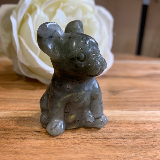 LABRADORITE FRENCH DOG