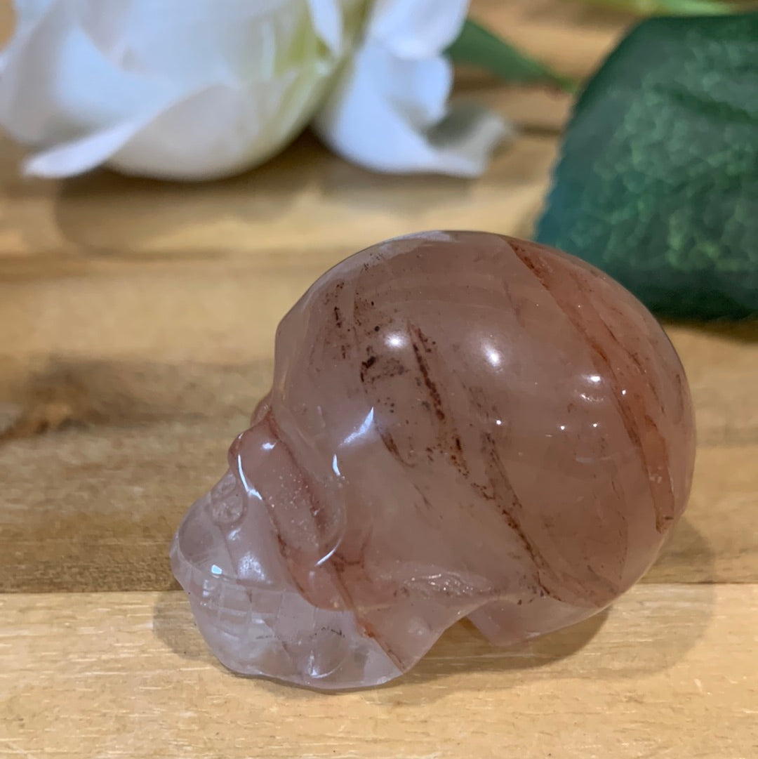 SKULL (MEDIUM)