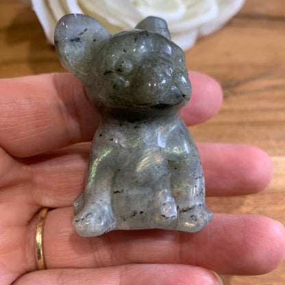 LABRADORITE FRENCH DOG