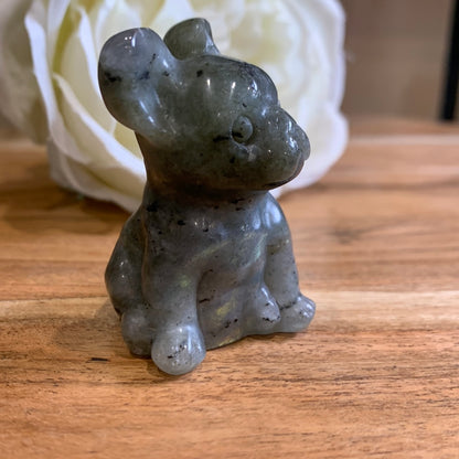 LABRADORITE FRENCH DOG