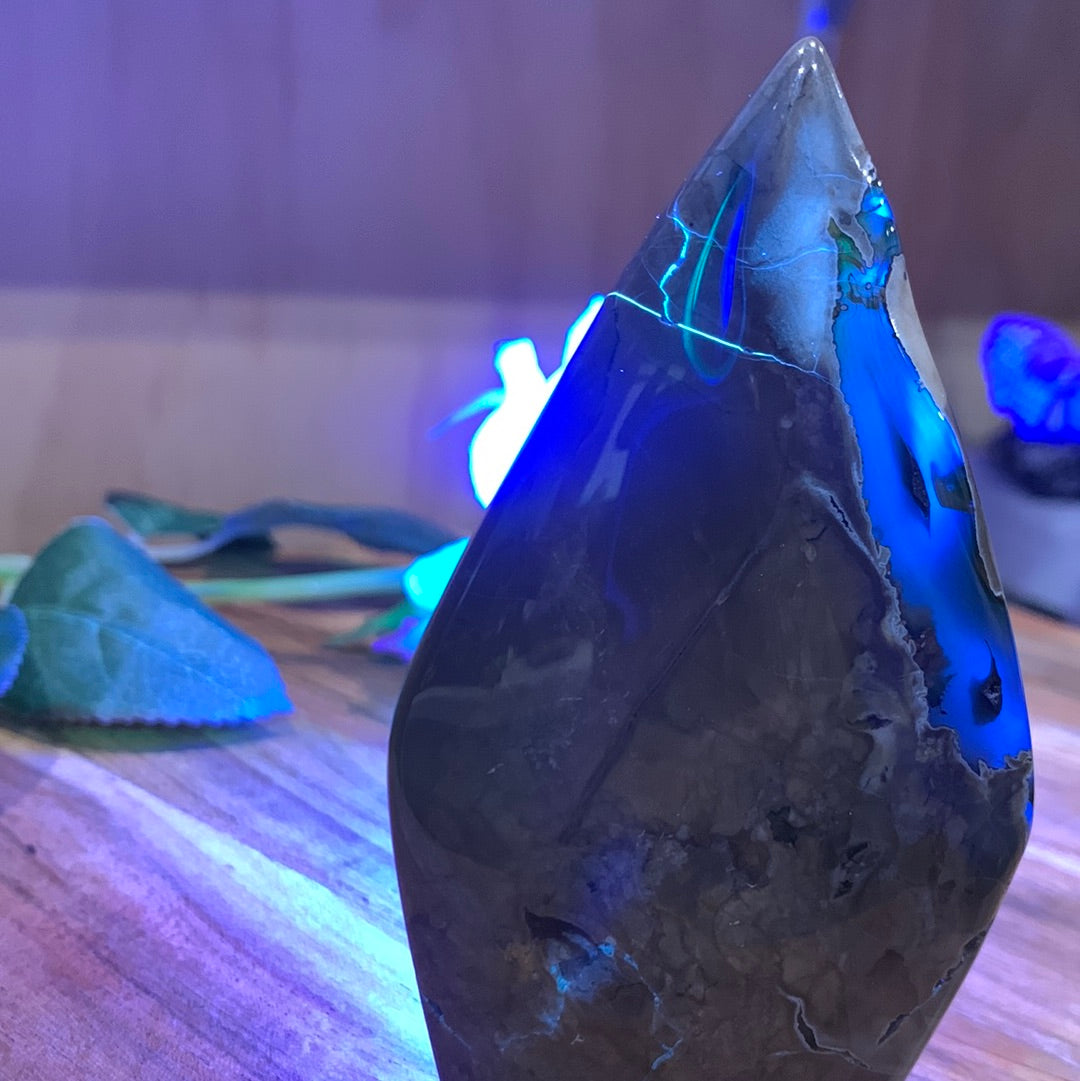 VOLCANO AGATE FREEFORMS
