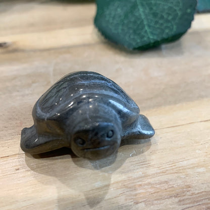 PYRITE TURTLE