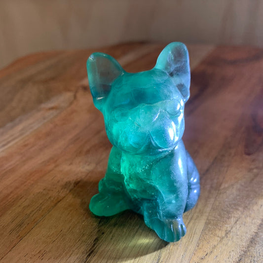 FLUORITE FRENCH DOGS