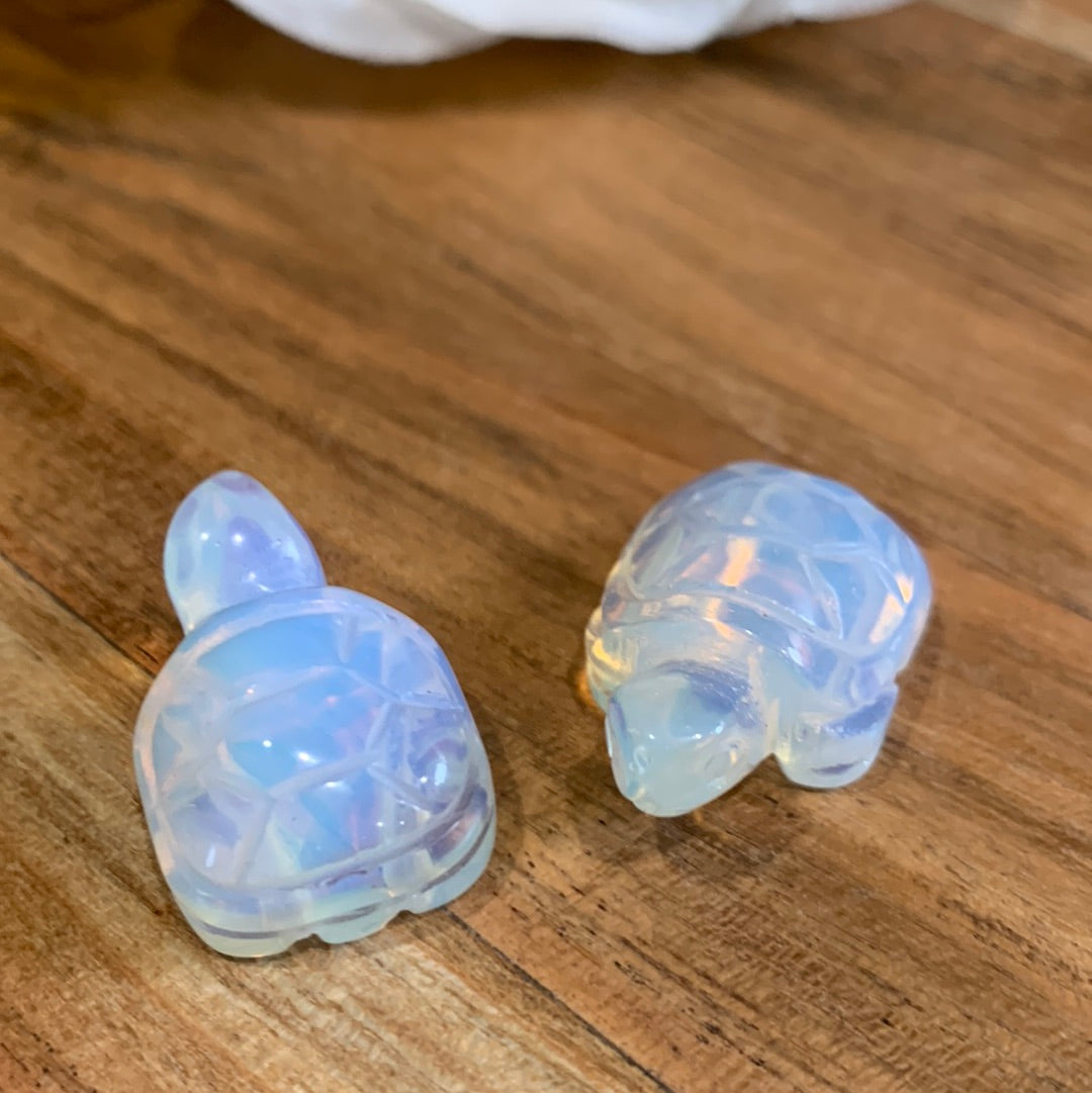 MINI CRYSTAL TURTLES