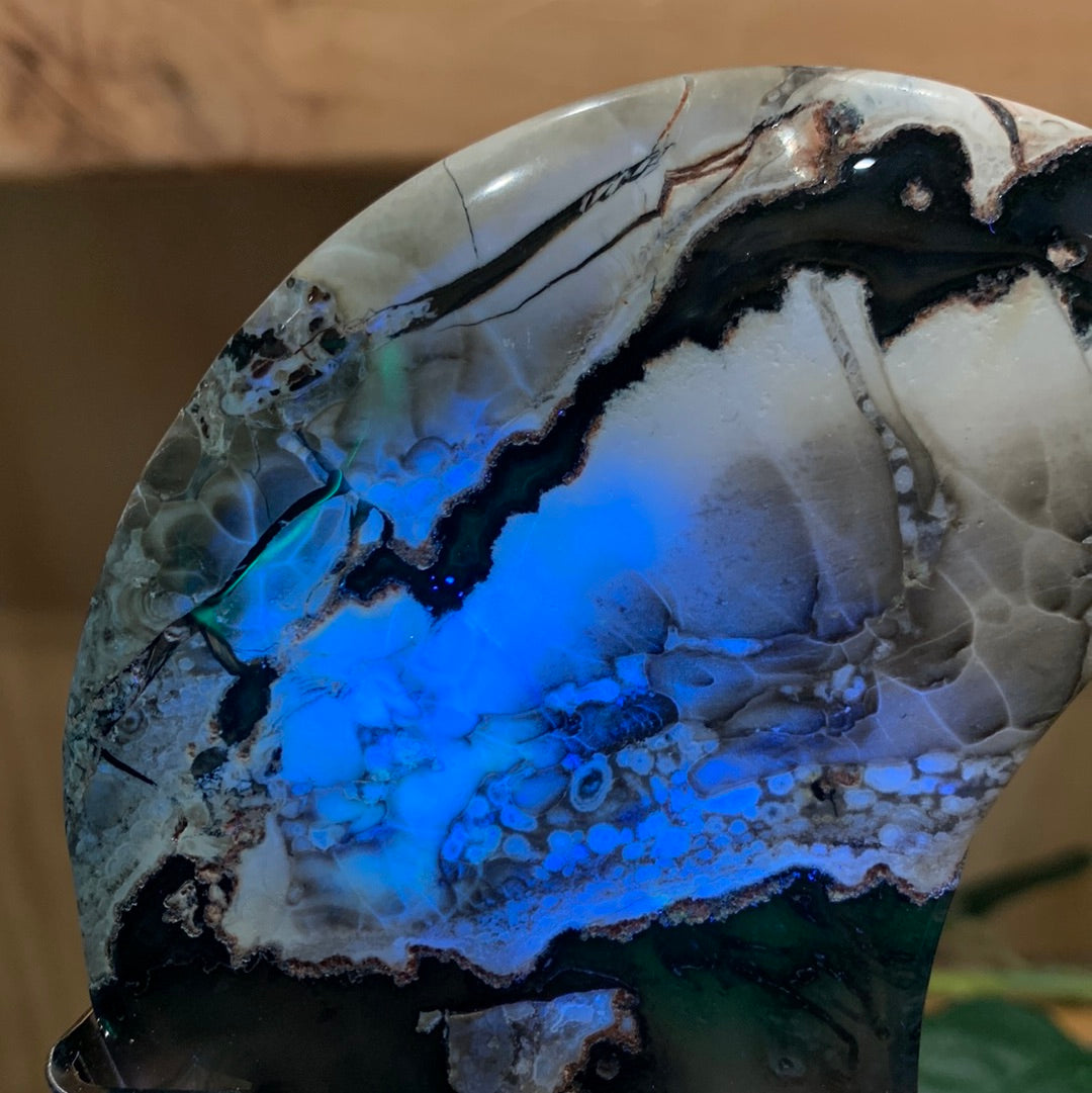 VOLCANO AGATE MOON ON SILVER ASTROLOGY STAND