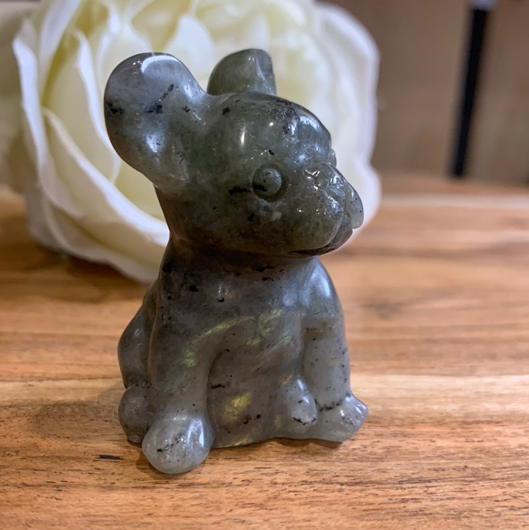 LABRADORITE FRENCH DOG