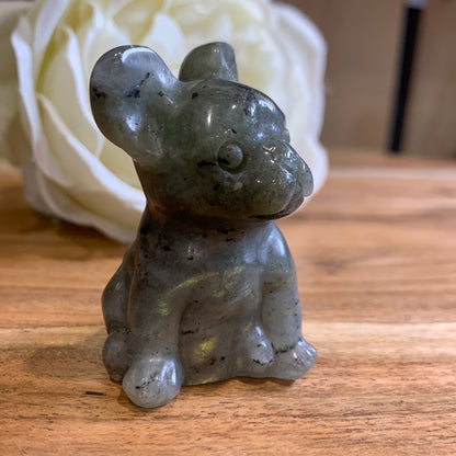 LABRADORITE FRENCH DOG