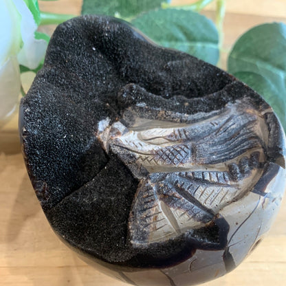 SEPTARIAN EGG WITH EGYPTIAN CARVING INSIDE (MEDIUM TO LARGE)