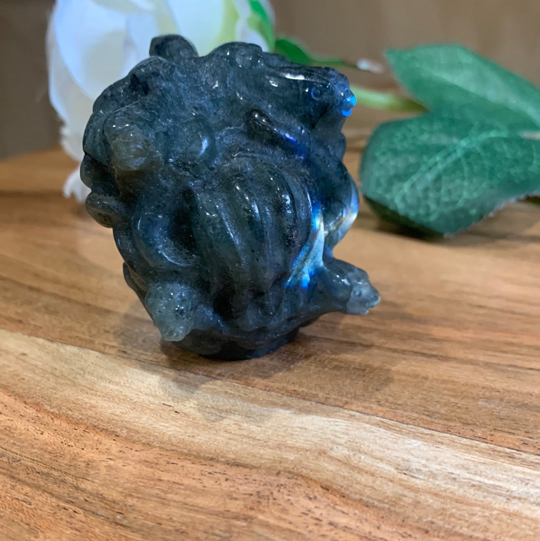 LABRADORITE MEDUSA HEAD