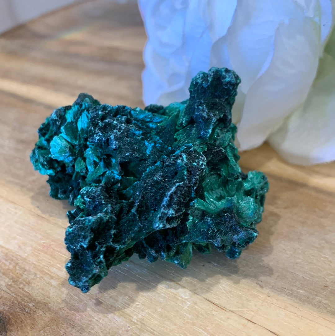 MALACHITE RAWS