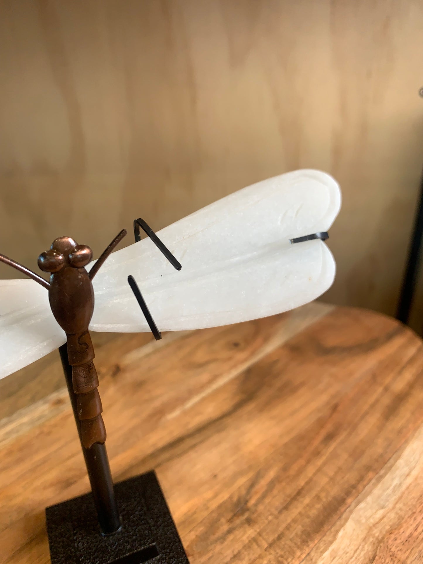 WHITE JADE DRAGON FLY