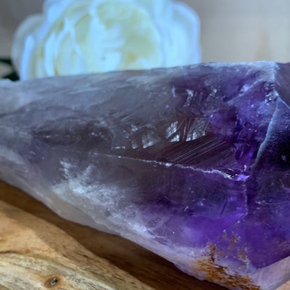 AMETHYST TOOTH (MASSIVE 714 GRAMS)