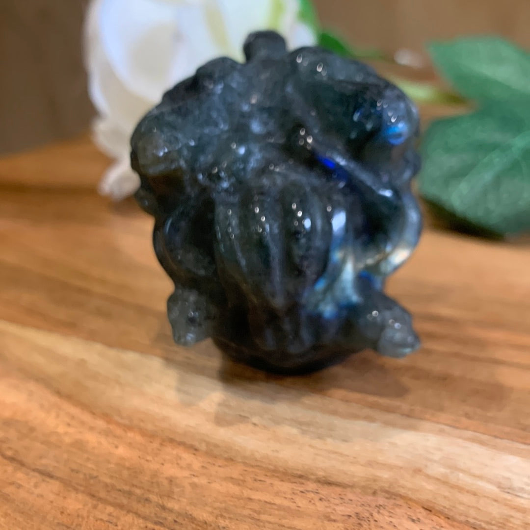 LABRADORITE MEDUSA HEAD