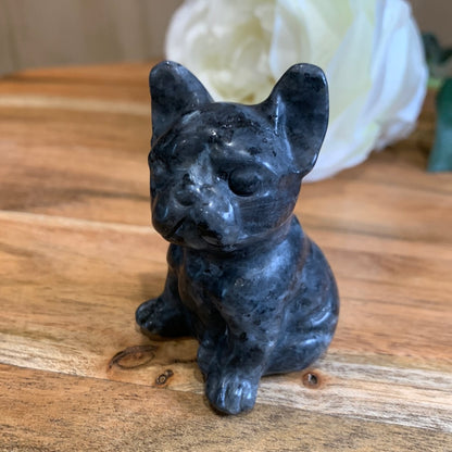 LARVIKITE FRENCH DOG