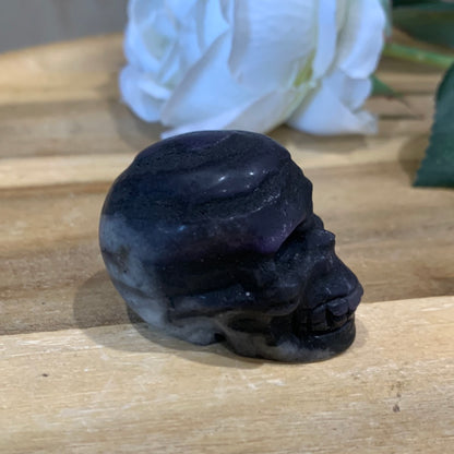 SKULL (MEDIUM)