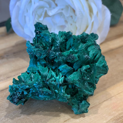 MALACHITE RAWS