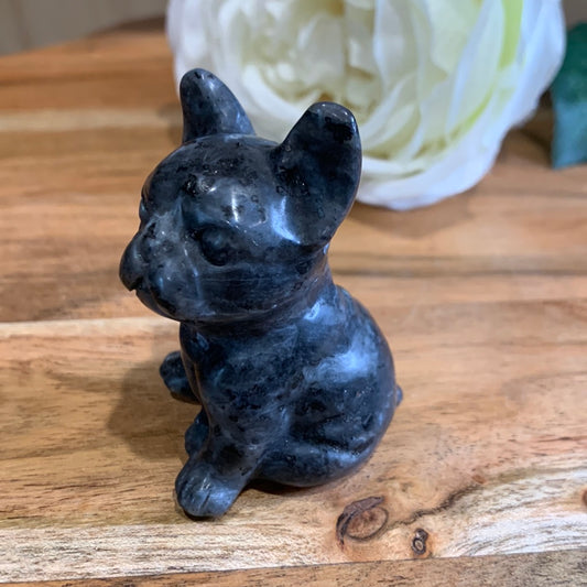 LARVIKITE FRENCH DOG