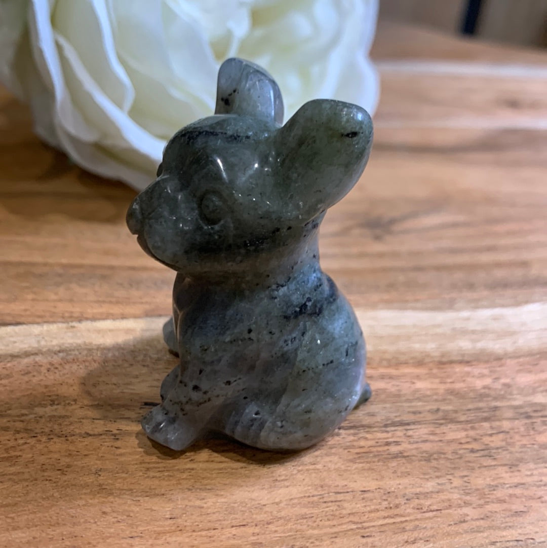 LABRADORITE FRENCH DOG