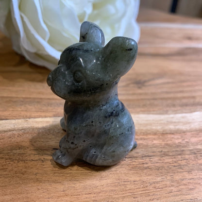 LABRADORITE FRENCH DOG