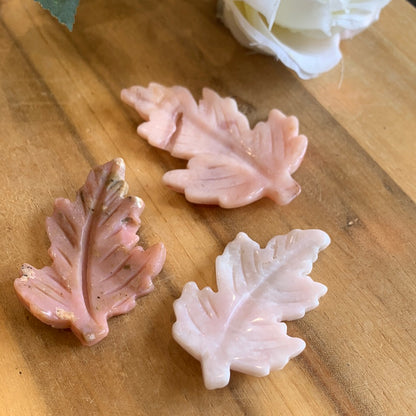 CRYSTAL LEAVES