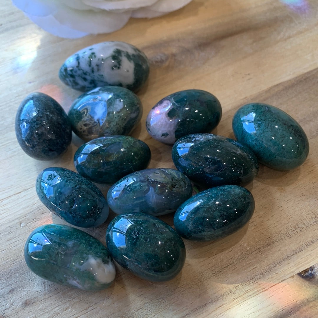 PALM STONES (SMALL)