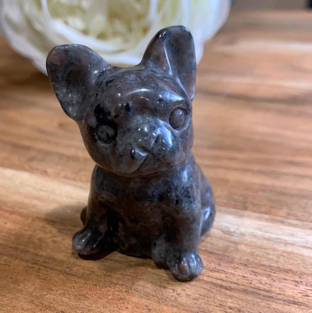 YOOPERLITE FRENCH DOG