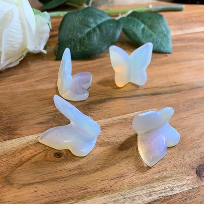 BUTTERFLIES (SMALL)