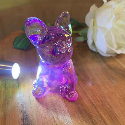 FLUORITE FRENCH DOG WITH AURA COATING (MEDIUM)