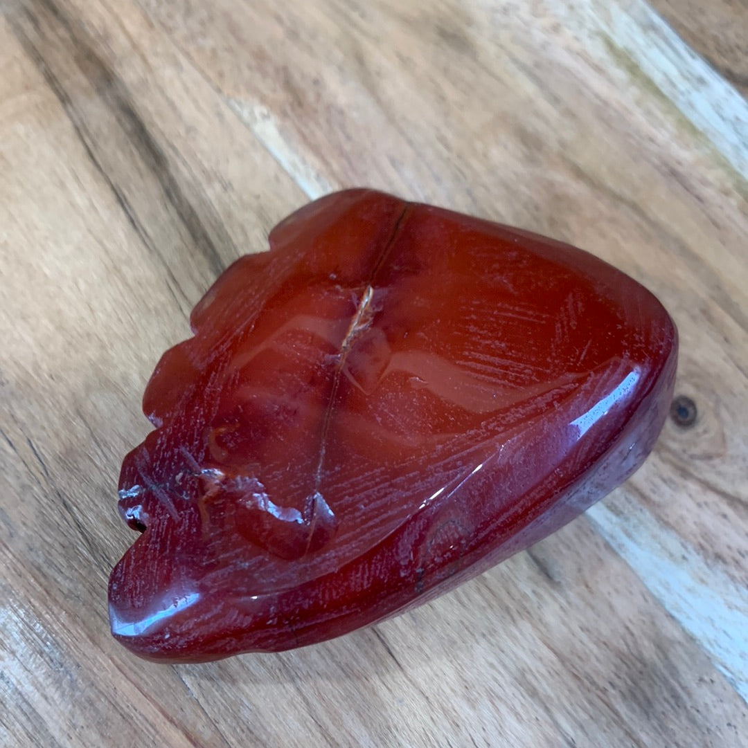 RED JASPER FOOT (SO WEIRD BUT SO CUTE)