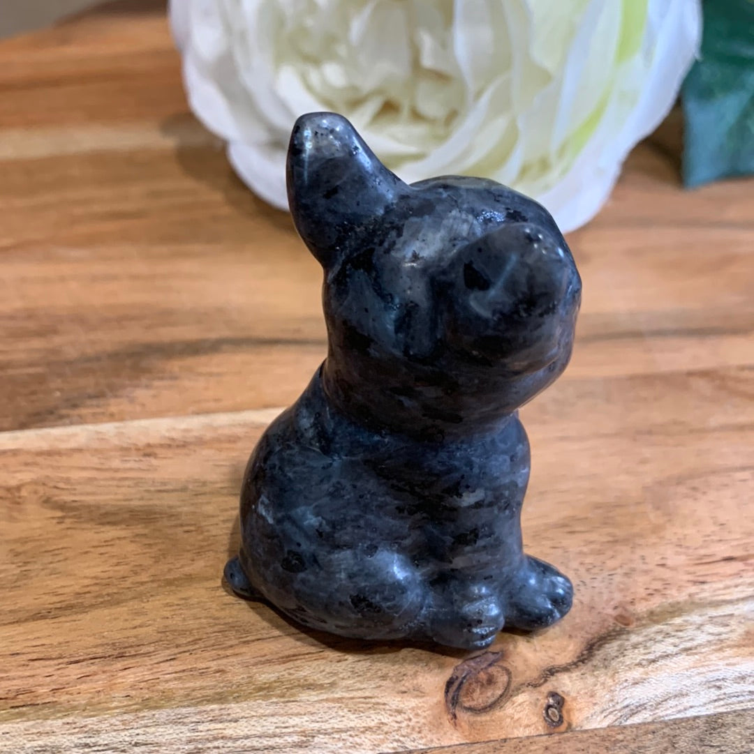 LARVIKITE FRENCH DOG
