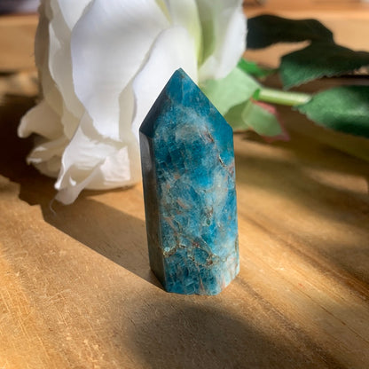 BLUE APATITE POINT