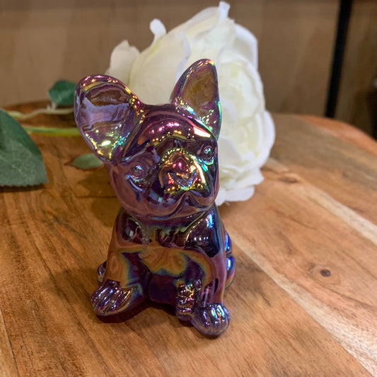 FLUORITE FRENCH DOG WITH AURA COATING (MEDIUM)