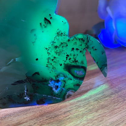 VOLCANO AGATE CATS (LARGE)