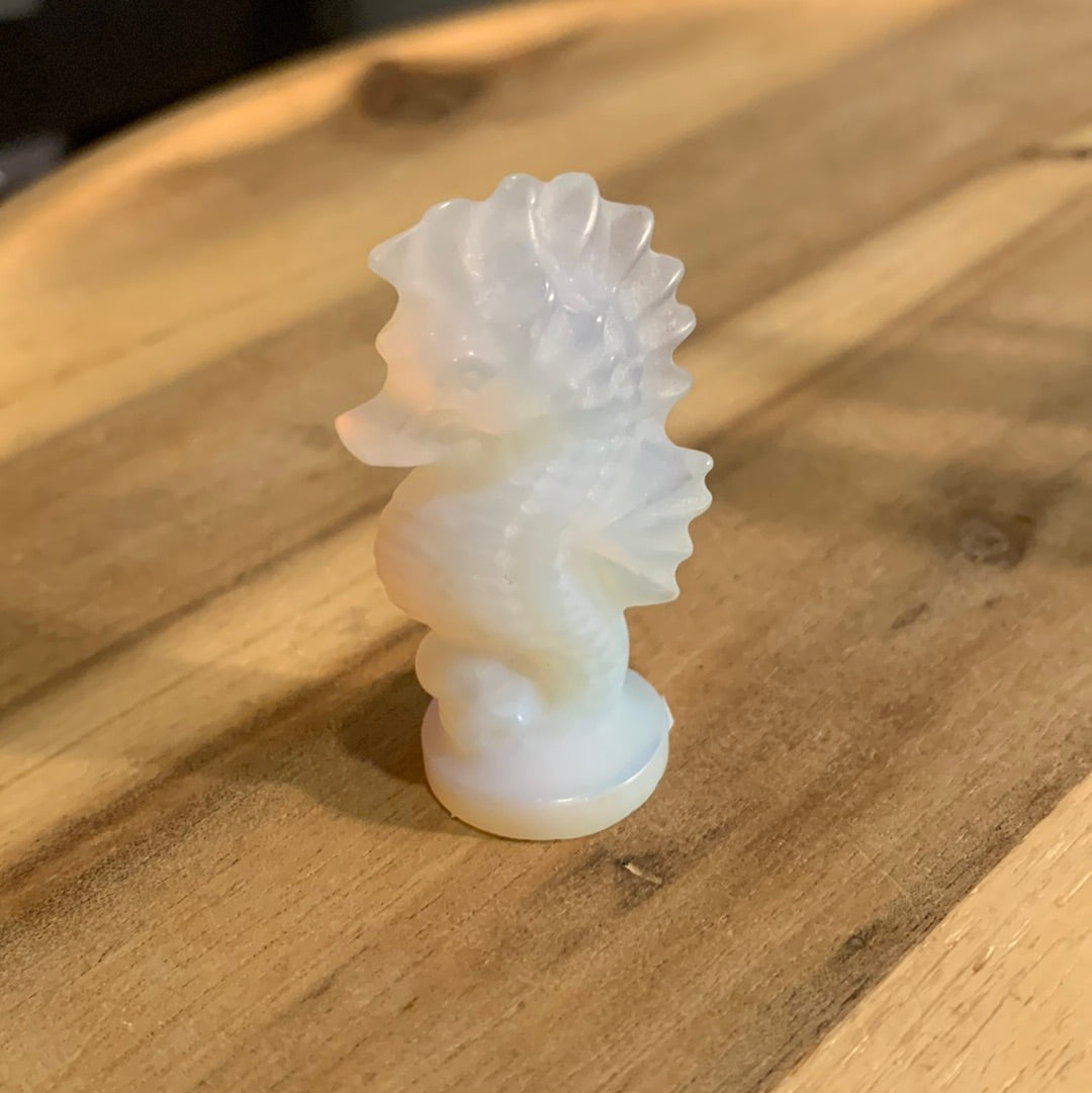 SEAHORSES (SMALL)