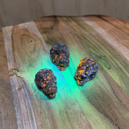 YOOPERLITE DINOSAUR HEADS