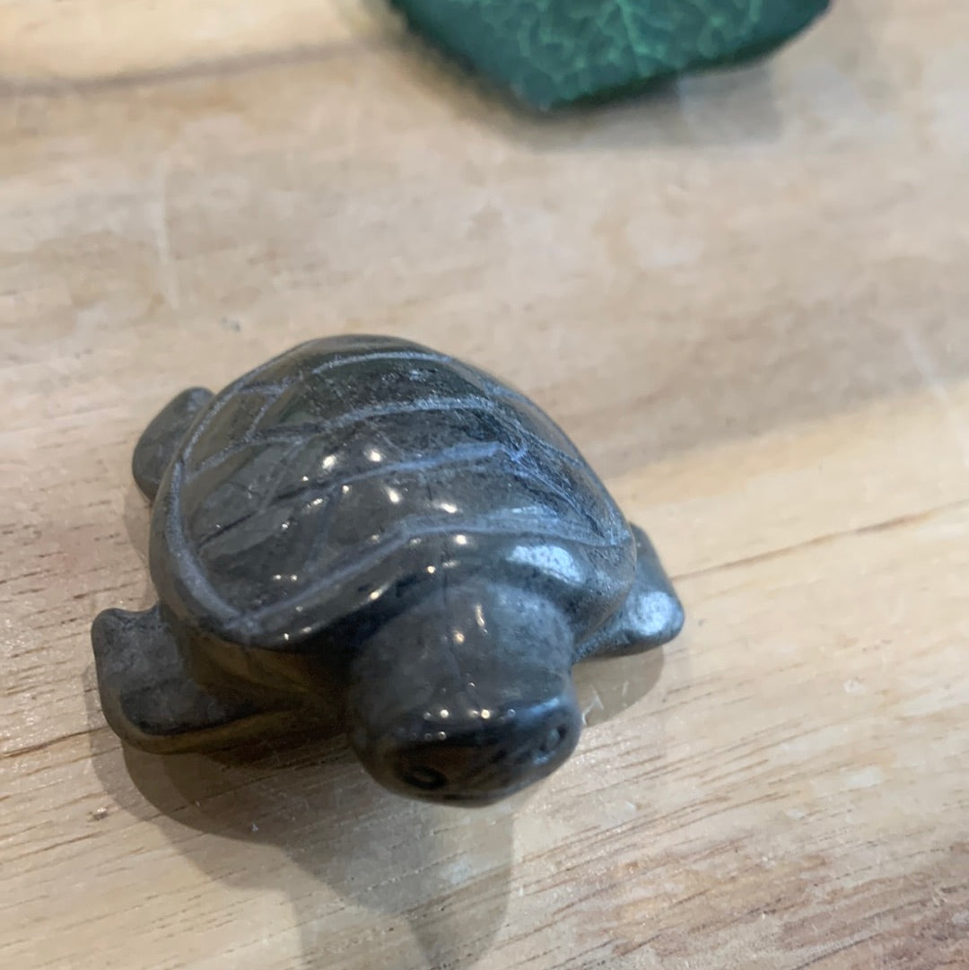 PYRITE TURTLE