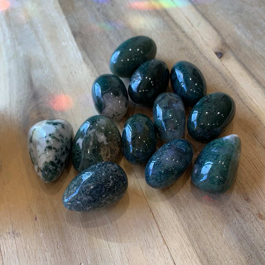 PALM STONES (SMALL)