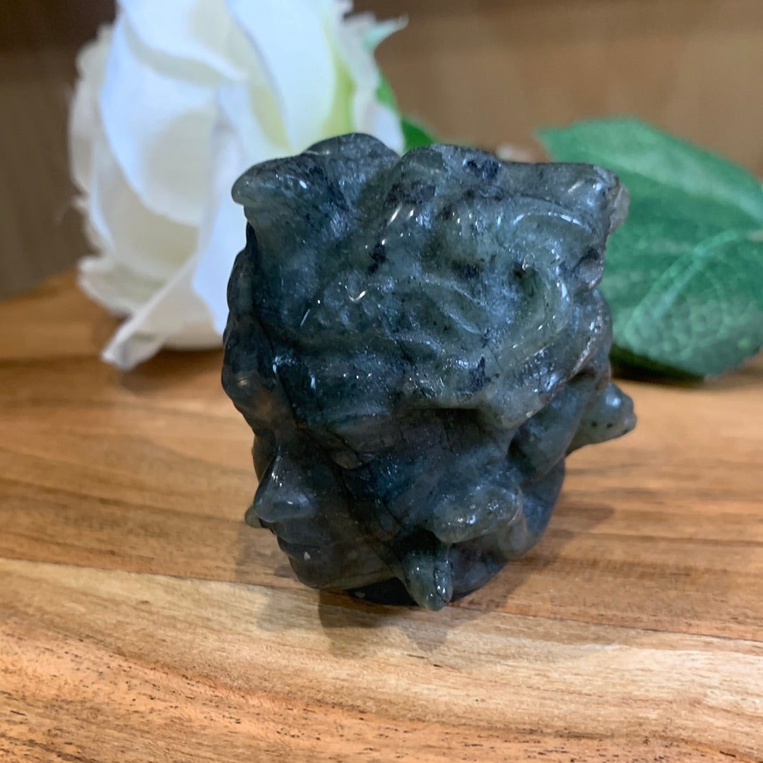 LABRADORITE MEDUSA HEAD
