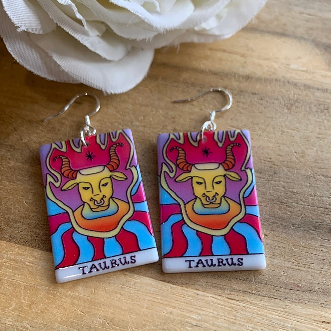 AWESOME ACRYLIC 925 STIRLING HOOK EARRINGS (NON CRYSTAL,)