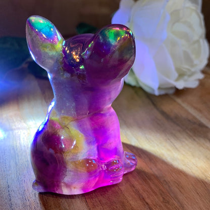 FLUORITE FRENCH DOG WITH AURA COATING (MEDIUM)