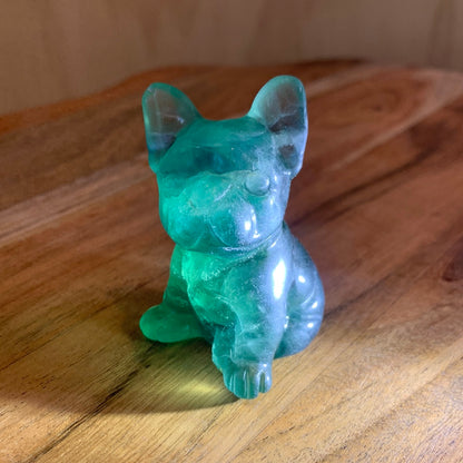 FLUORITE FRENCH DOGS