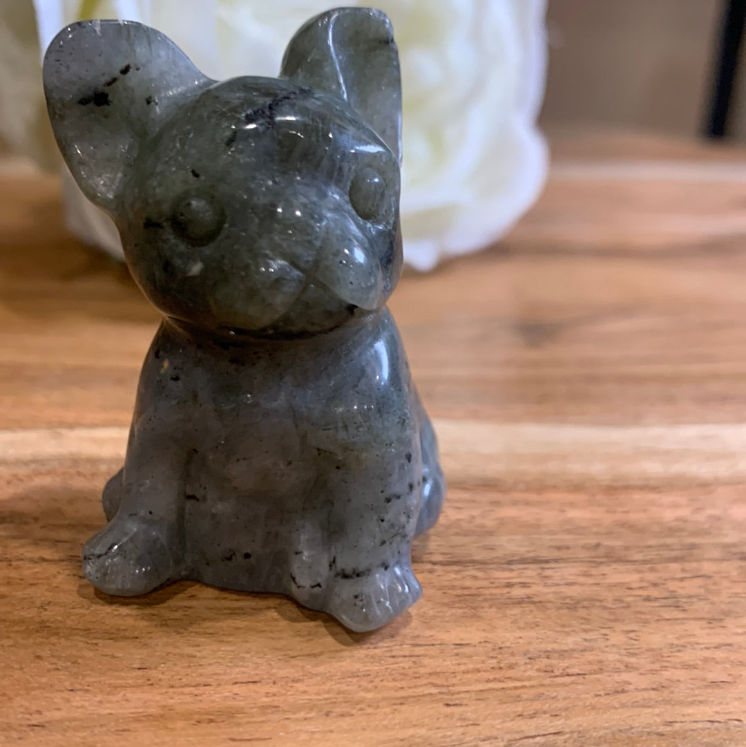 LABRADORITE FRENCH DOG