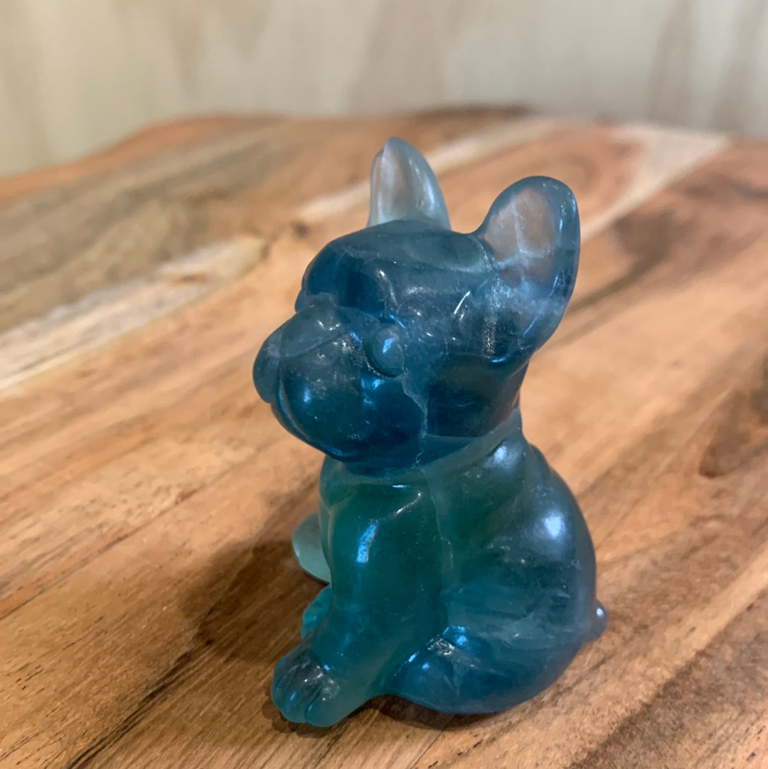 FLUORITE FRENCH DOGS