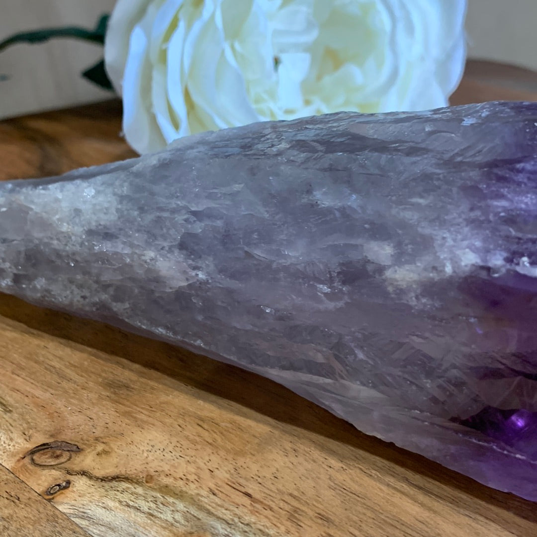 AMETHYST TOOTH (MASSIVE 714 GRAMS)