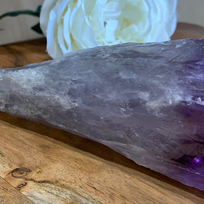 AMETHYST TOOTH (MASSIVE 714 GRAMS)