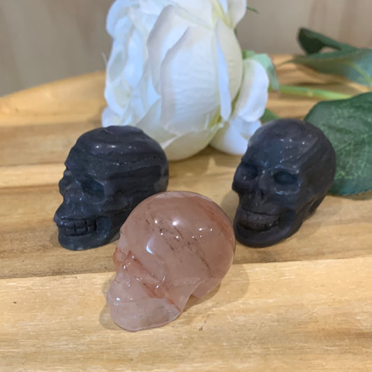 SKULL (MEDIUM)